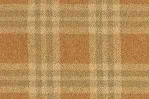 Ковролин Brintons Abbotsford Lewis Plaid 16-17089 фото  | FLOORDEALER